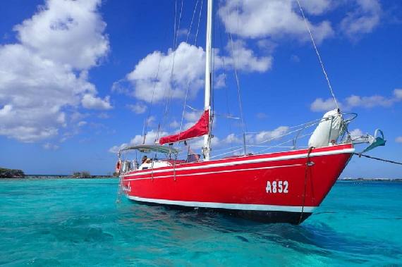 Sail and snorkel cruise 